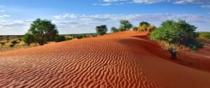 Kalahari Desert | Dry and stunning desert in Kalahari | Ultimate Travel Company