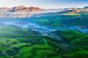 Munnar, India | glorious mountain landscapes |Ultimate Travel Company
