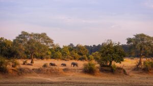 Africa | The Ultimate Travel Company