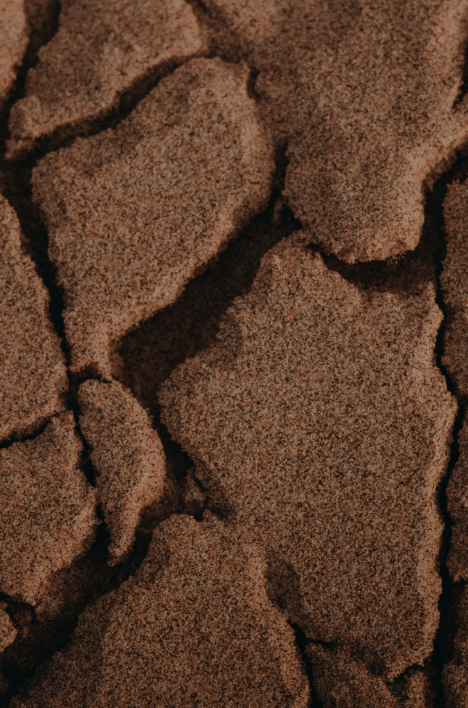 The Ultimate Travel Company | Africa | Texture