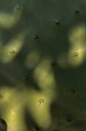 The Ultimate Travel Company | Texture