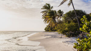 The Ultimate Travel Company | Petit st Vincent | Beach