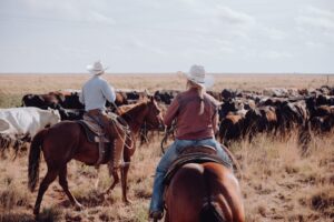 A Cattle Drive on a Ranch Holiday | USA Holidays | The Ultimate Travel Company