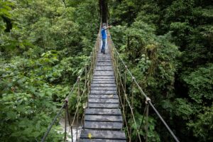 Monteverde | Puntarenas Province | The Ultimate Travel Company
