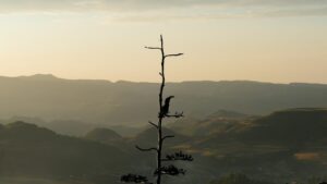Ethiopia | Rolling Landscapes | Ultimate Travel Company