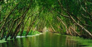 Mekong Delta | Vietnam | Ultimate Travel Company