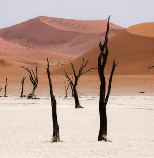 Namibia | Sossusvlei | Ultimate Travel Company