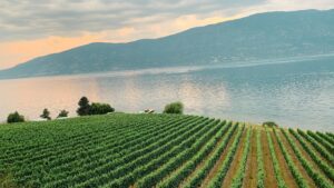 Kelowna and Okanagan | Canada | Ultimate Travel Company