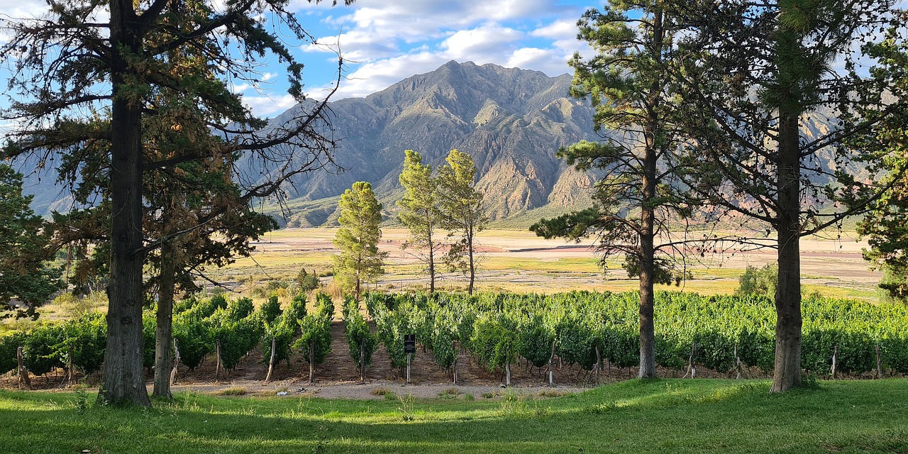 Mendoza | Mendoza | Ultimate Travel Company