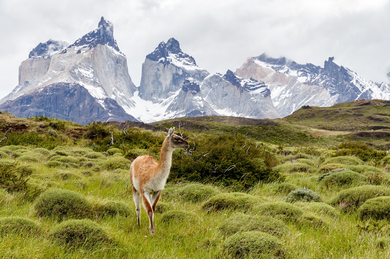 Torres Del Paine | Paine | Ultimate Travel Company
