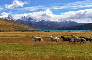 Chilean Patagonia | Chile | Ultimate Travel Company