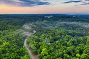 The Forest of the Ecuadorian Amazon | Luxury Ecuador Holidays | The Ultimate Travel Company