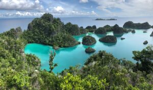 Raja Ampat | Indonesia | Ultimate Travel Company