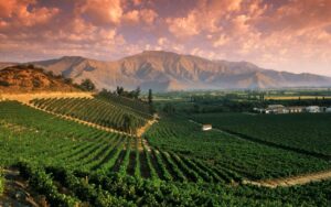 Chilean Winelands | Chile Holidays | The Ultimate Travel Company