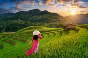 Sapa | Asian woman at Rice Terraces in Sapa, Vietnam | Ultimate Travel Company