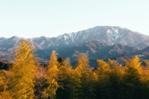 Kiso Valley | Japan | The Ultimate Travel Company