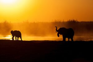 The Caprivi Strip | Namibia | The Ultimate Travel Company