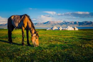 Kyrgyzstan | The Ultimate Travel Company