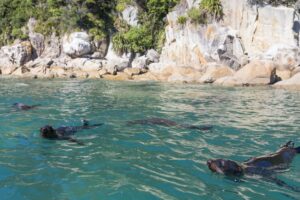 Nelson and The Abel Tasman | New Zealand Holidays | The Ultimate Travel Company