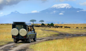 Safari Vehicle with Wildebeest and Mount Kilimanjaro in the Background | Kenya Safaris | Kenya Holidays | The Ultimate Travel Company