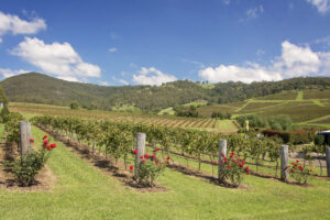 Hunter Valley | Australia Holidays | The Ultimate Travel Company