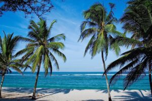 Kenyan Coast | Kenya Holidays | Kenya Safaris | The Ultimate Travel Company