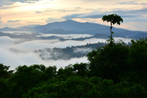Danum Valley | Borneo | Ultimate Travel Company