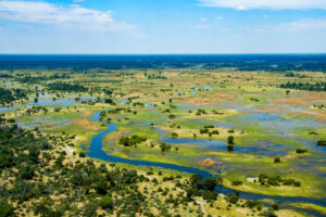 Okavango Delta | Luxury Botswana Safaris | The Ultimate Travel Company