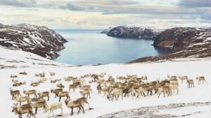 Arctic | Polar Regions | The Ultimate Travel Company