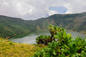 Volcanoes National Park | Luxury Rwanda Holidays | The Ultimate Travel Company