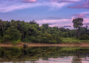 Kinabatangan River | Borneo | Ultimate Travel Company