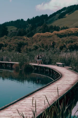 Hawkes Bay | New Zealand Holidays | The Ultimate Travel Company