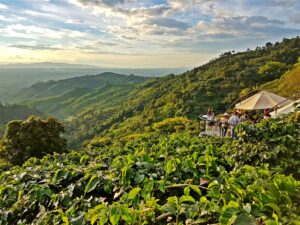 Colombia's Coffee Region | Hacienda | Ultimate Travel Company