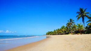 Beautiful Trancoso Beach with Palm Trees Near Port Seguro in Bahia | Luxury Brazil Holidays | The Ultimate Travel Company