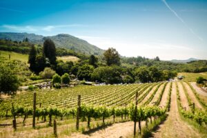 Napa and Sonoma in California | Luxury USA Holidays | The Ultimate Travel Company