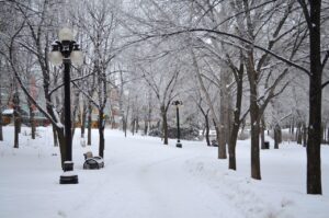 Winnipeg | Snow | Ultimate Travel Company
