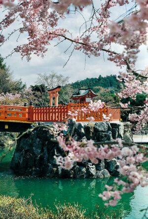 Cherry Blossom Season in Japan | Luxury Japan Holidays | The Ultimate Travel Company