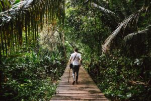 Inkaterra Hacienda Concepcion, Southern Amazon