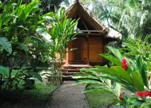 Inkaterra Hacienda Concepcion, Southern Amazon