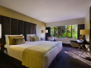 Bolton Hotel, Wellington