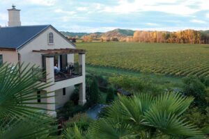 Breckenridge Lodge, Napier | New Zealand | The hotel facing the vineyard | The Ultimate Travel Company