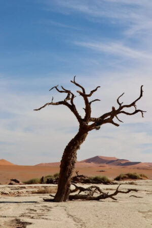 Hamish | Expert Page | Ultimate Travel Company