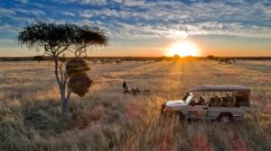 Safarihoek Lodge, Etosha Heights Private Reserve