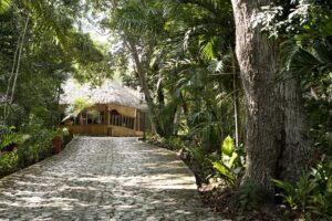 Jungle Lodge, Tikal National Park | The Ultimate Travel Company