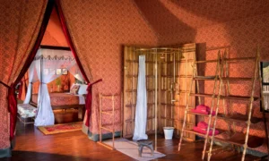 Jack’s Camp and San Camp, Kalahari