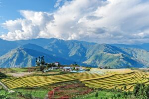 Aerial View Across the Tea Fields and Mountain Landscapes of Bhutan | Luxury Bhutan Holidays | The Ultimate Travel Company