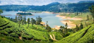 Sri Lanka | through Spice Gardens | The Ultimate Travel Compan