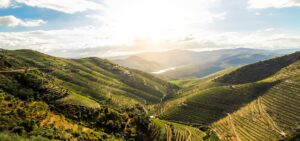 Terraced Vineyards Douro Valley | Portugal | The Ultimate Travel Company