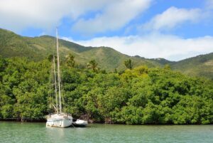 British Virgin Islands | Grounded sailboat by a lush mangrove shore with hills in the background | The Ultimate Travel Company