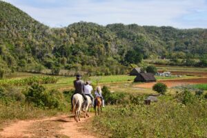 Person Riding a Horse in Vinales And Cayo Levisa | Cuba Holidays | The Ultimate Travel Company
